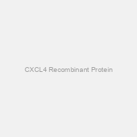 CXCL4 Recombinant Protein